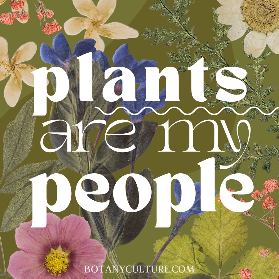 Graphic of a sticker design that has the text 'plants are my people' surrounded by various flowers and plants on a green background