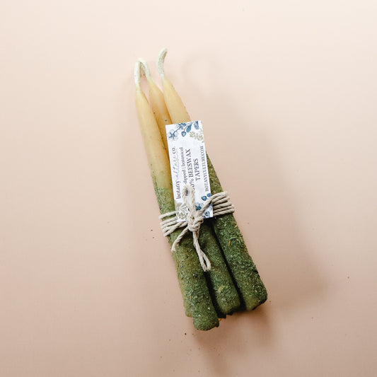 Botanical Beeswax Taper Candles | 5" Bundle