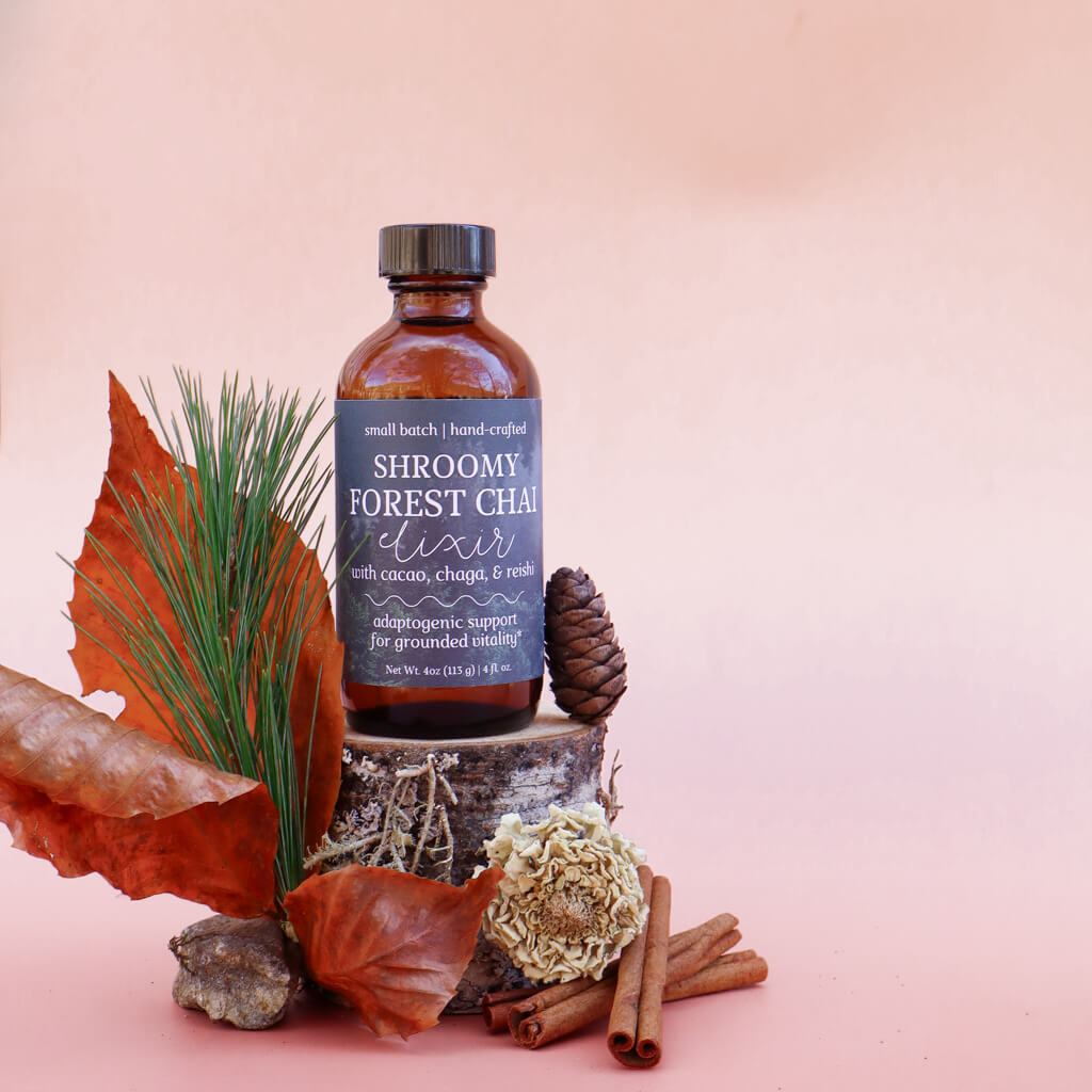Bottle of 'Shroomy Forest Chai Elixir with raw cacao, chaga, and reishi: for adaptogenic support for grounded vitality' surrounded by natural elements on a pink background