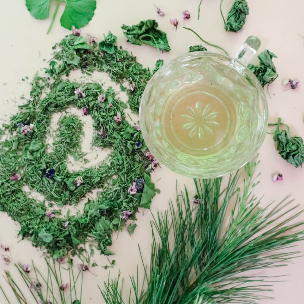 Into The Woods Herbal Tea - Nourishing Whole Body Support