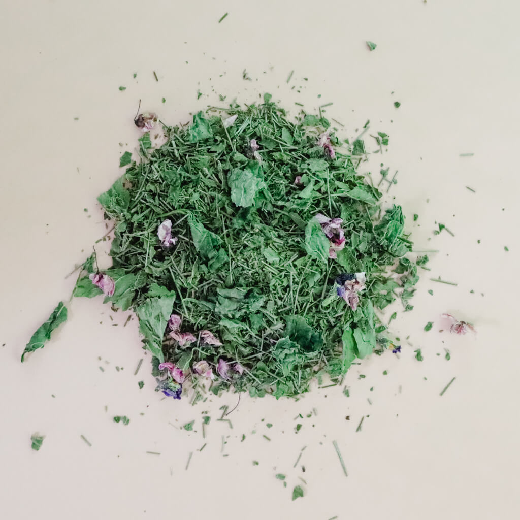 Into The Woods Herbal Tea - Nourishing Whole Body Support