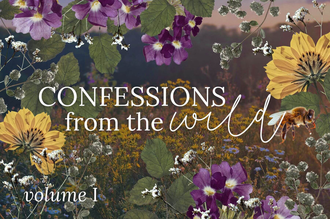 On Bloating, Bitters, & Old Plant Wisdom