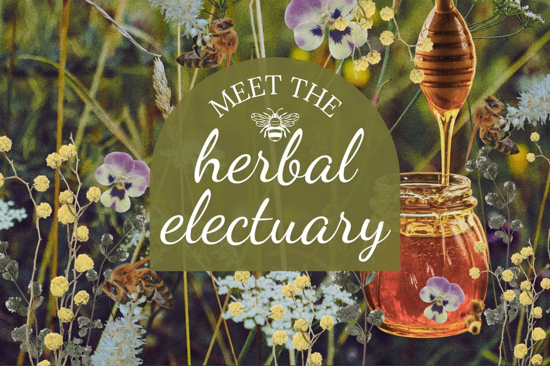 The Herbal Honey Electuary: What It Is, Why It Works, & How to Use It Everyday