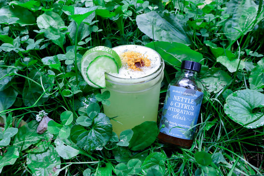 A bottle of Nettle & Citrus Hydration Elixir sitting next to a coconut water, cucumber, and lime electrolyte drink