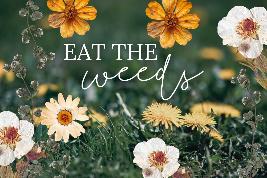 5 Edible Weeds Growing in Your Backyard Right Now