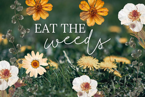 5 Edible Weeds Growing in Your Backyard Right Now