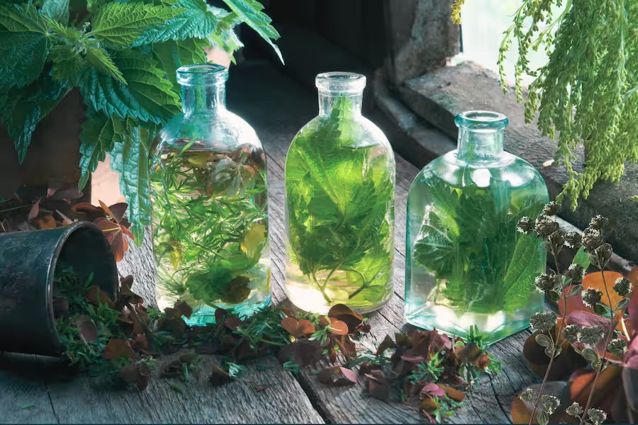 three glass bottles containing green leafy herbal infusions sitting on a rustic wood surface next to greeners and a scattered loose-leaf tea blend