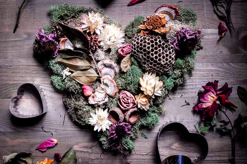 Herbal Aphrodisiacs: The Science & Magic of Plant-Based Pleasure
