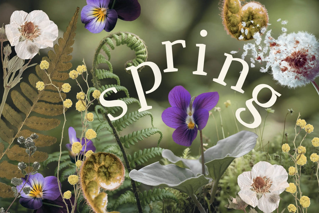 An Herbalist's Guide to Spring