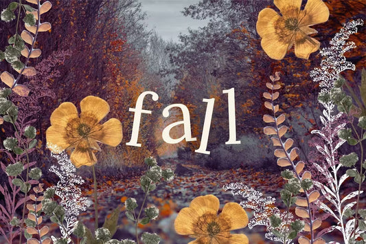 Sweater Weather: An Herbalist's Guide to Fall