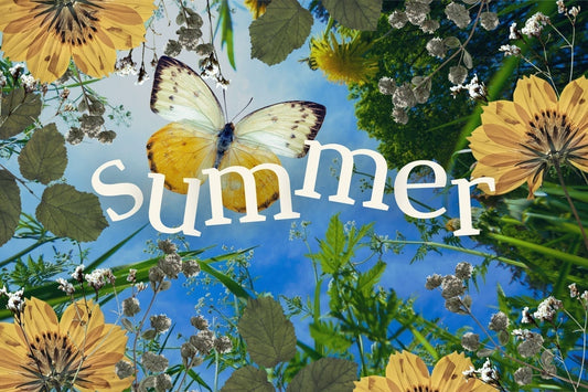 Cool, Hydrated, & Well-Fed: An Herbalist's Guide to Summer