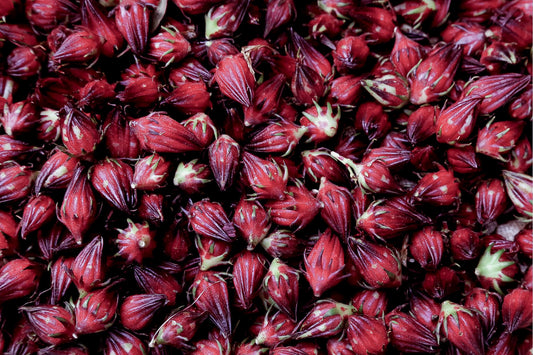 Meet the Plants: Hibiscus