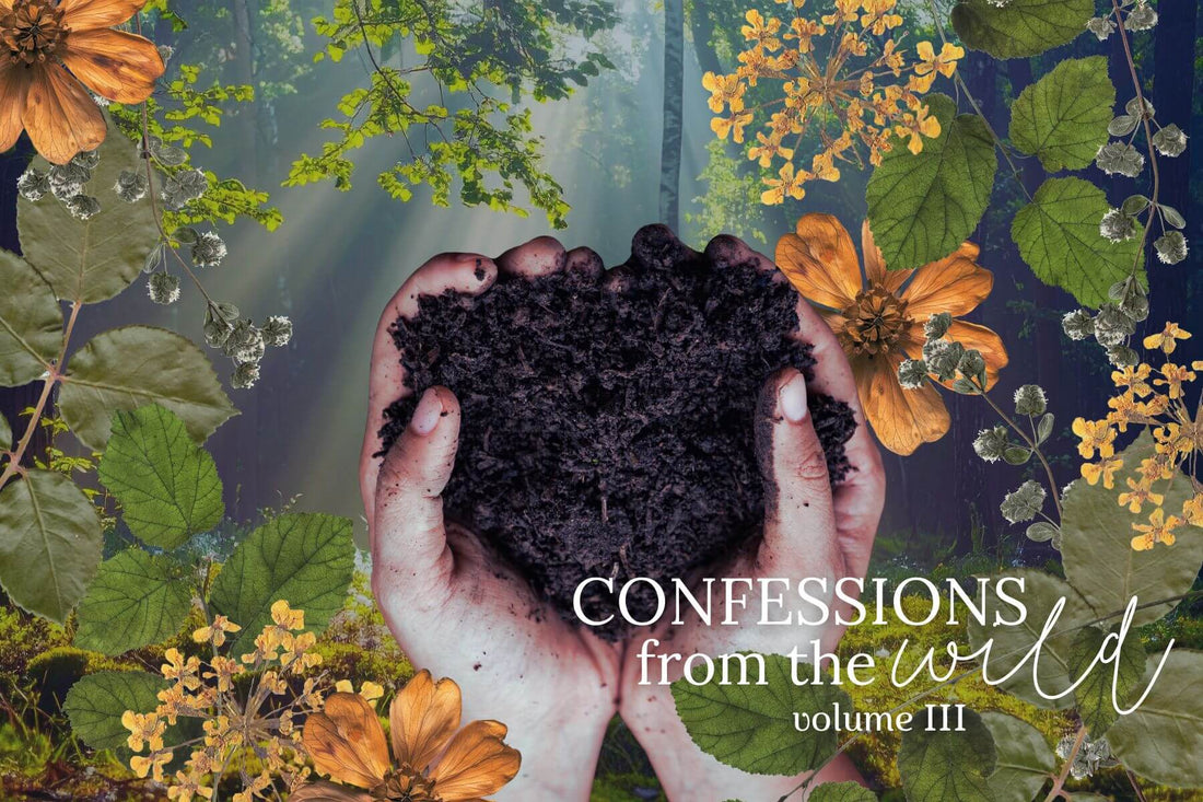 A Taste of Time & Place: A Love Letter to Terroir in Small-Batch Herbalism