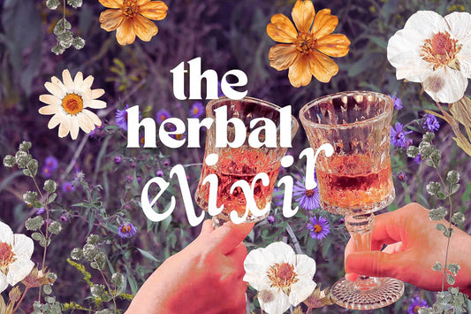 Herbal Elixirs Explained: What They Are & How To Use Them