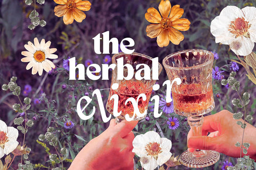 Herbal Elixirs Explained: What They Are & How To Use Them