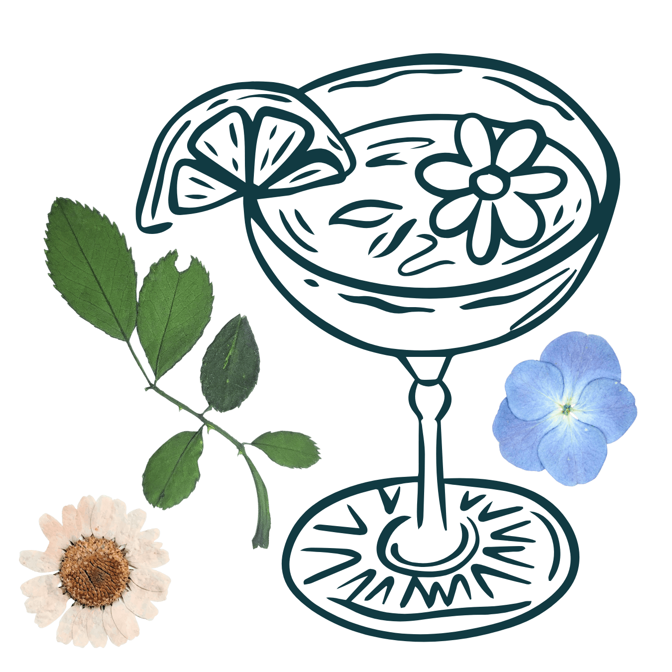 Decorative illustration of a cocktail glass with pressed flowers and leaves on a transparent background
