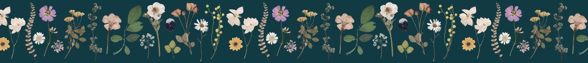 Blue floral banner with dried pressed flowers lined up in a row