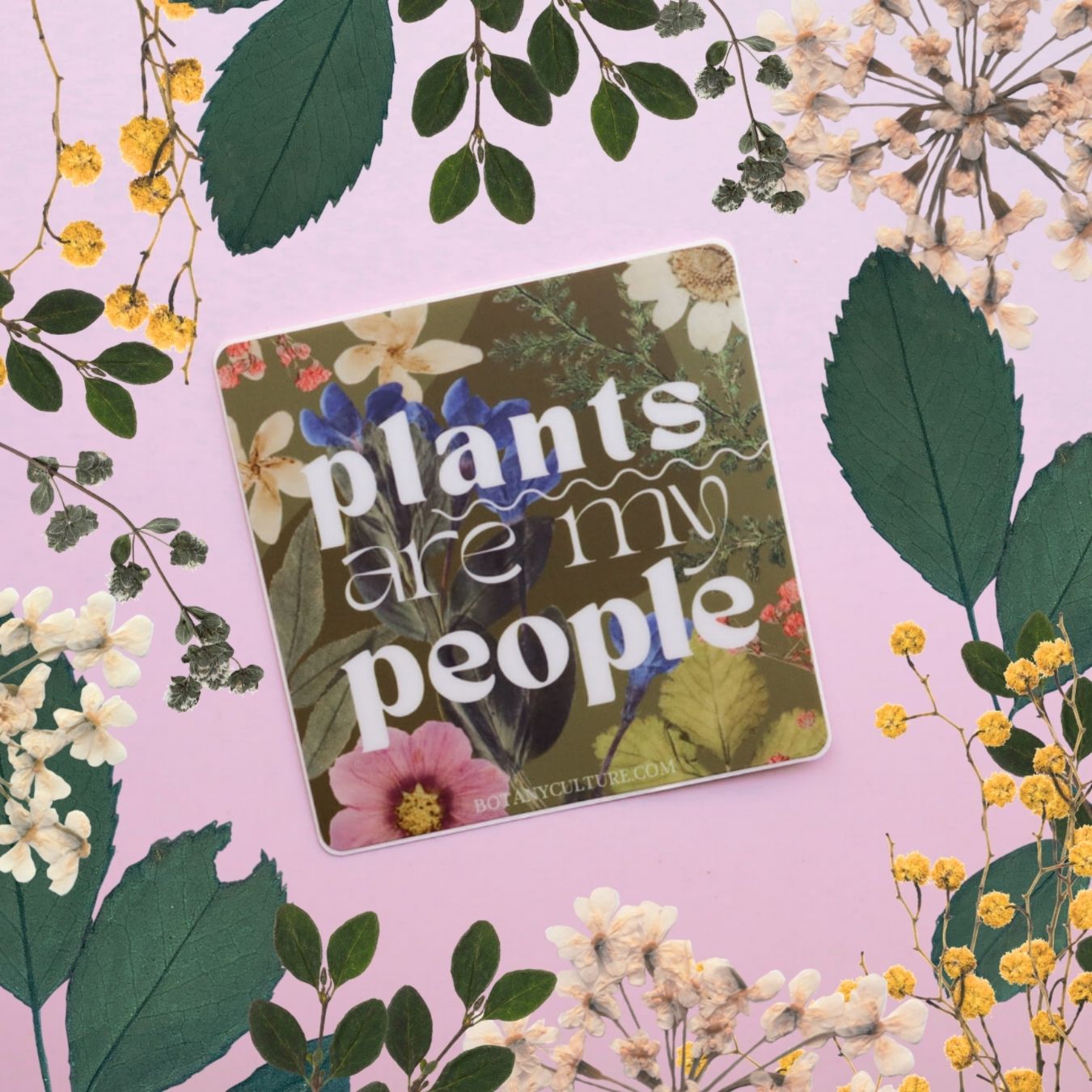 Sticker with 'plants are my people' text surrounded by floral and leaf decorations on a pink background