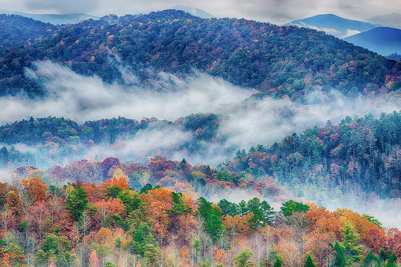 Autumn forest with colorful trees and misty mountains