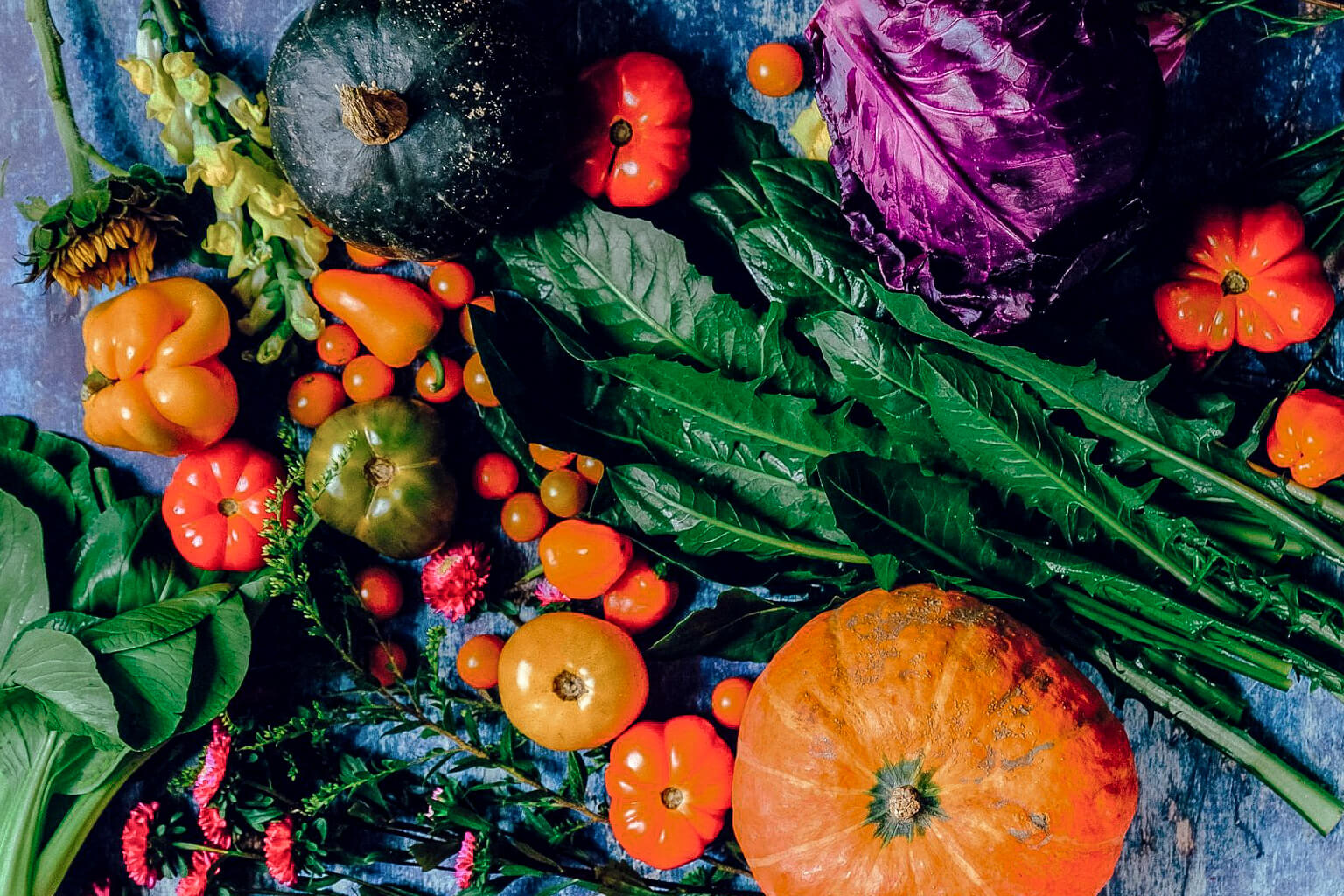 Assorted fresh vegetables including pumpkins, tomatoes, and leafy greens on a textured surface.