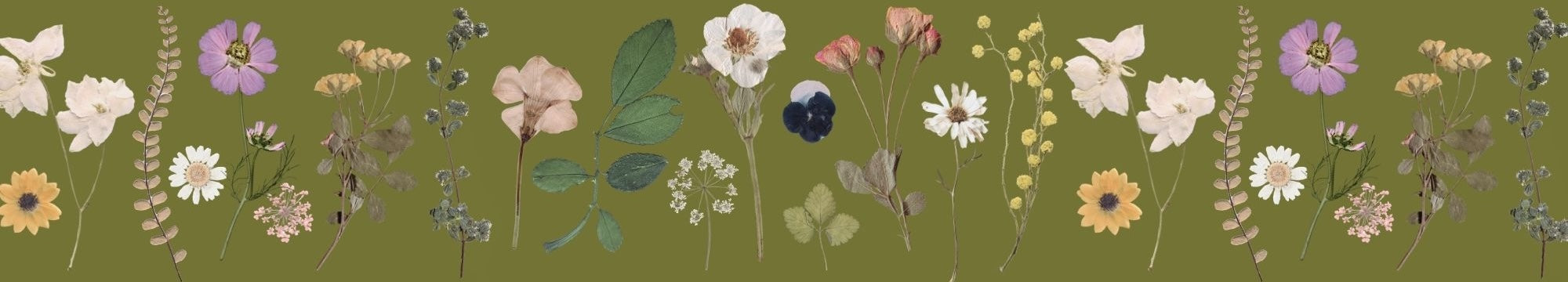 Pattern of various pressed dried flowers on a green background
