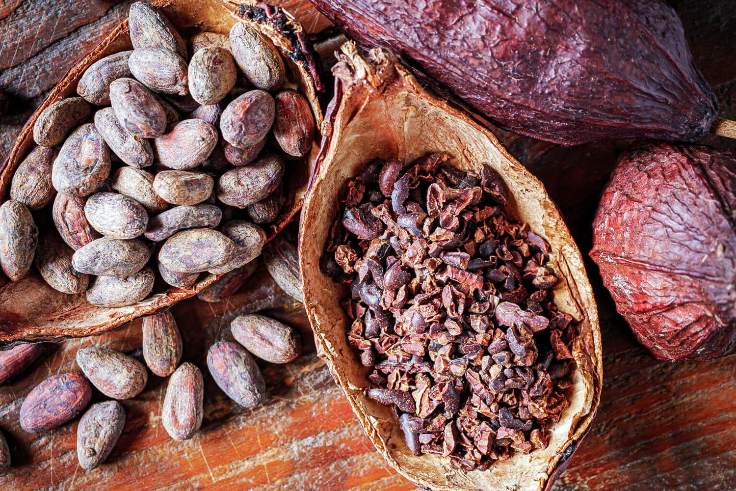 Cocoa beans and cacao nibs in wooden containers on a wooden surface