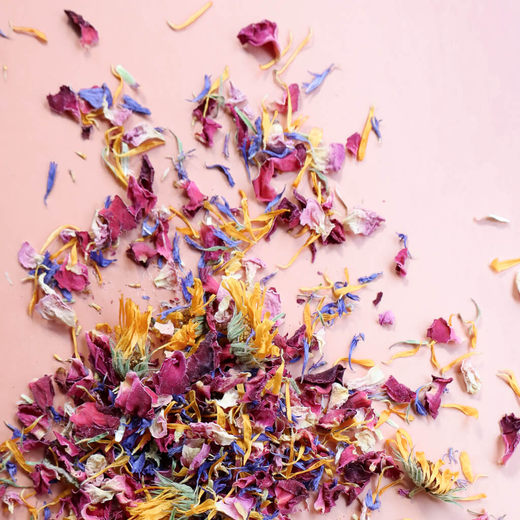 Colorful dried edible flowers for garnish scattered on a pink background