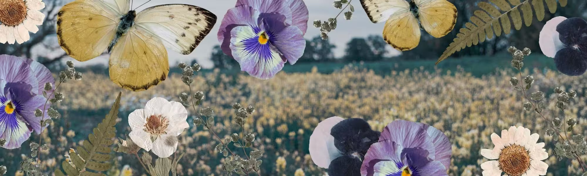 A decorative floral and butterfly collage background featuring purple pansies, white flowers, fern leaves, and yellow-and-white butterflies over a soft-focus field scene.
