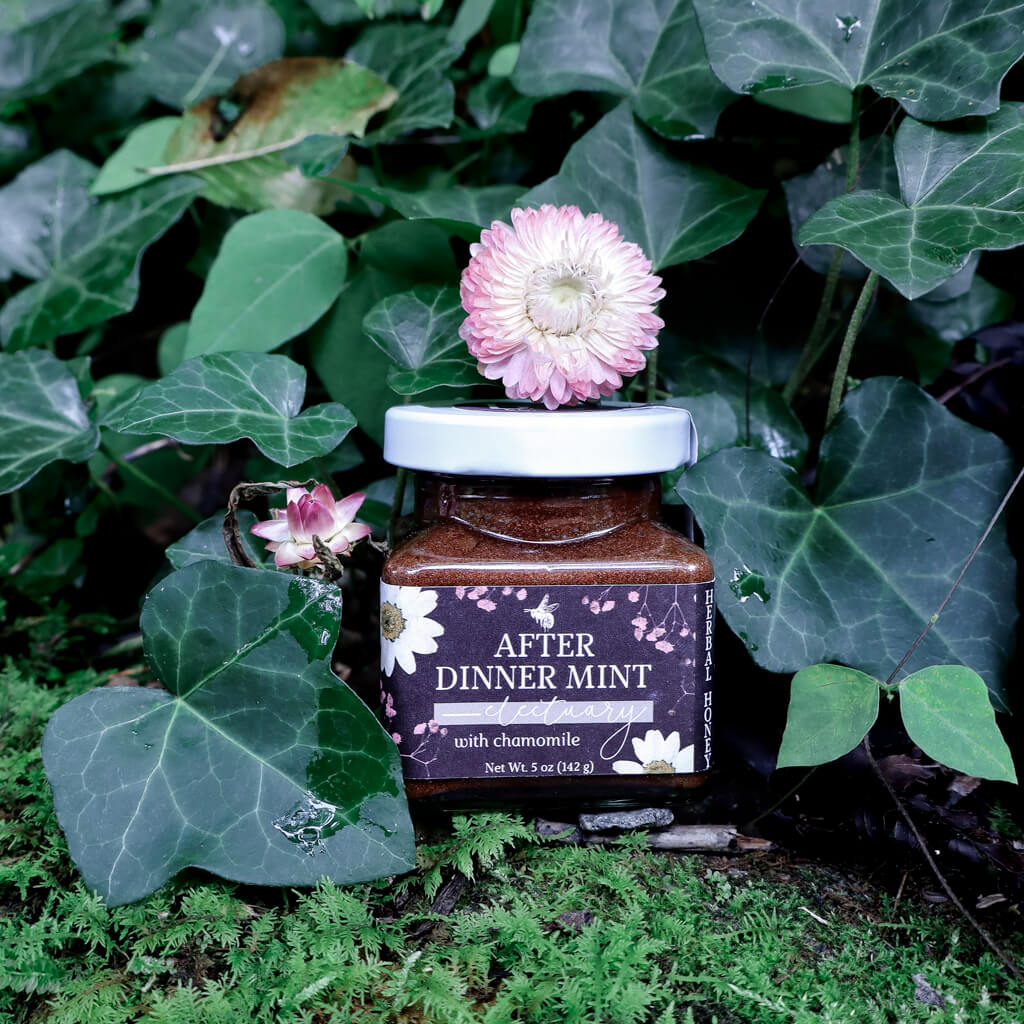 jar of After Dinner Mint Herbal Honey Electuary with chamomile sitting on a mossy rock with greenery in the background