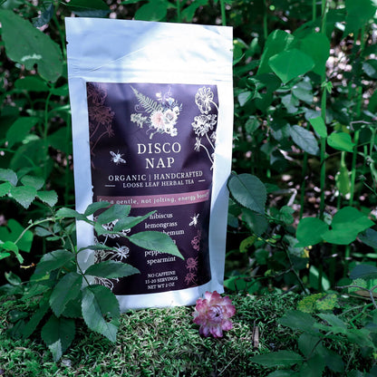 bag of Disco Nap Loose-Leaf Herbal Tea sitting on a mossy rock with greenery in the background