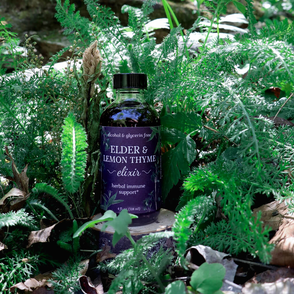 bottle of Elderberry & Lemon Thyme Elixir with a label that reads "herbal immune support" nestled in a a yarrow plant
