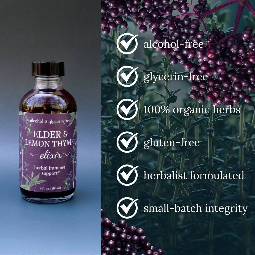 Elder & Lemon Thyme Elixir