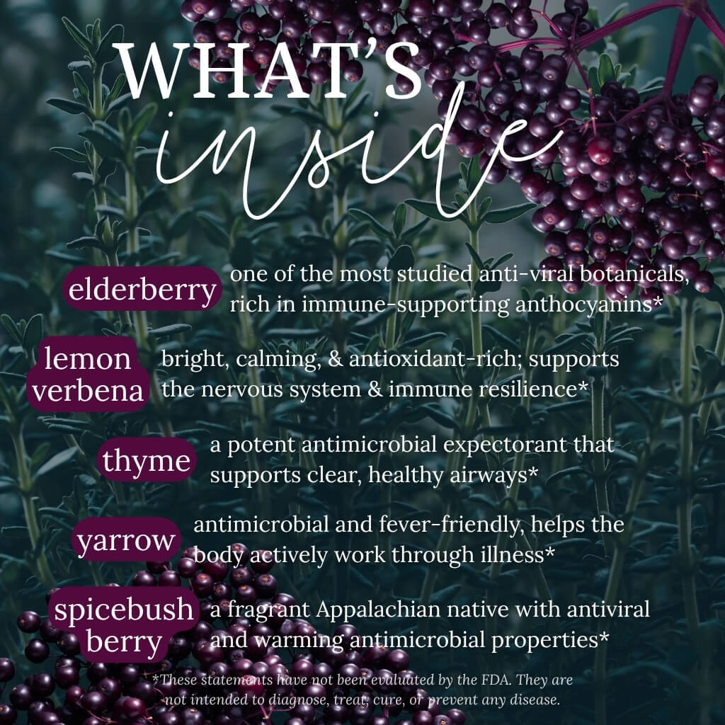 Elder & Lemon Thyme Elixir