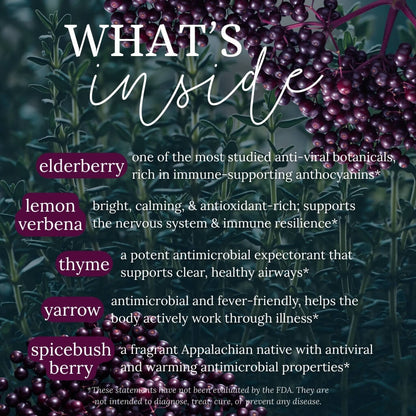 Elder & Lemon Thyme Elixir