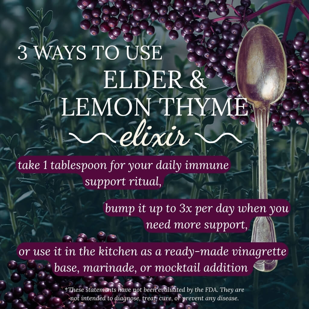 Elder & Lemon Thyme Elixir