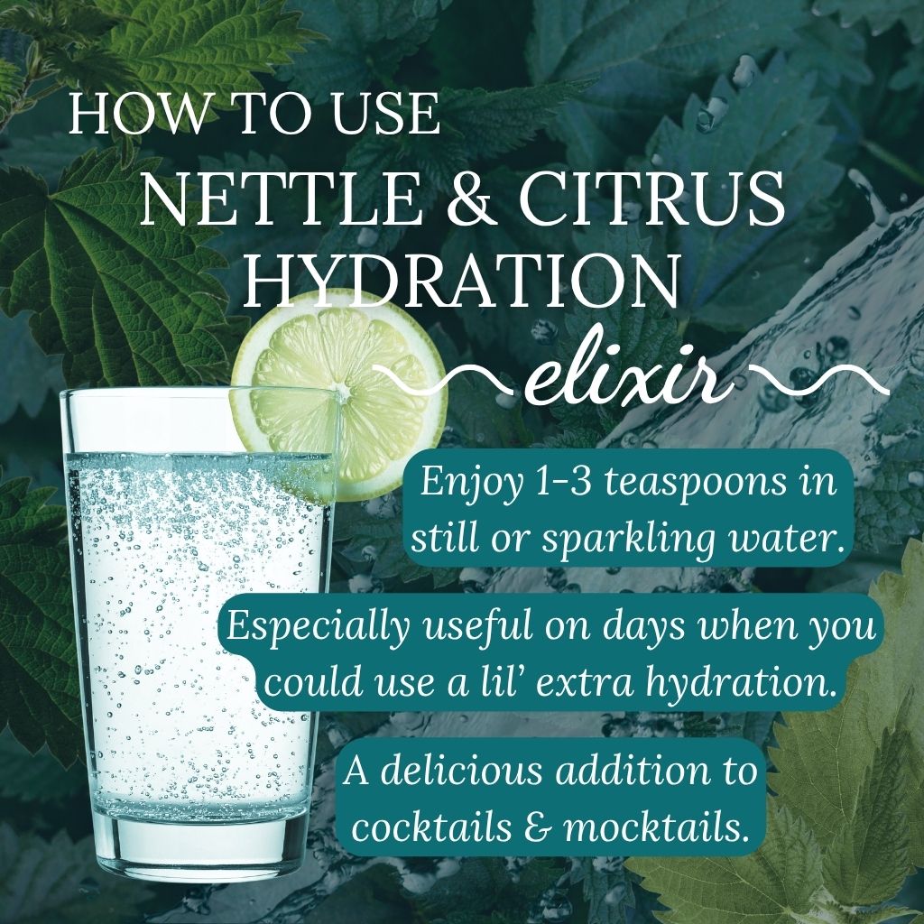 Glass of bubbly water with a lime slice and text about how to use Nettle & Citrus Hydration Elixir.