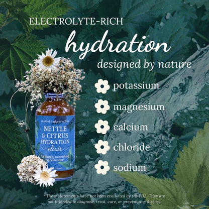 Bottle of Nettle & Citrus Hydration Elixir with flowers and text about electrolyte content on a green botanical background.