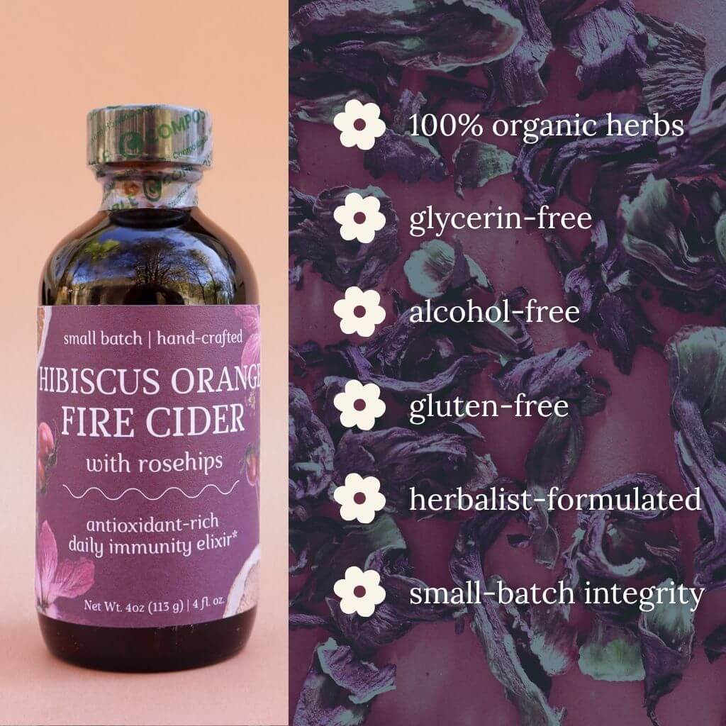 Hibiscus Orange Fire Cider