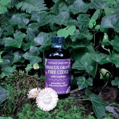 The Fire Cider Kit | Elixir + Salt
