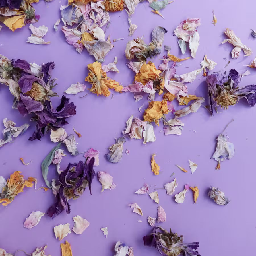 organic dried edible flowers scattered on a purple background