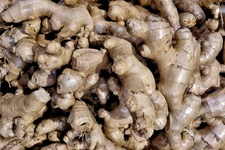 A close-up pile of fresh, knobby ginger roots with rough, pale beige skin.