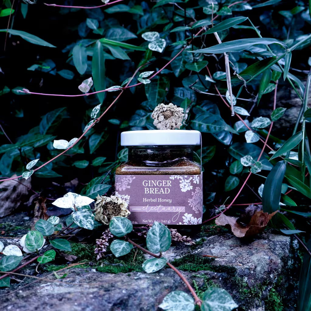 A jar of Gingerbread Herbal Honey placed on a mossy stone surrounded by green ivy and leaves in a natural outdoor setting.