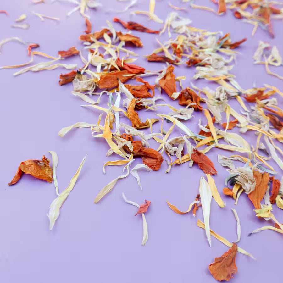 a sprinkle of dried edible flower petal confetti that includes marigold, calendula, and white chrysanthemum flowers scattered across a purple background