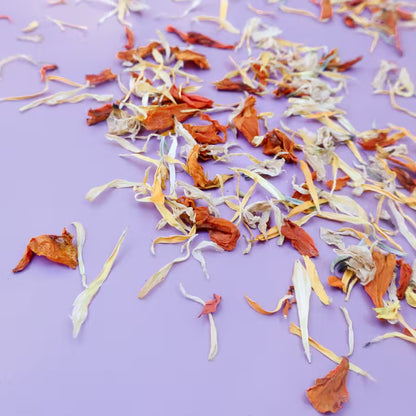 a sprinkle of dried edible flower petal confetti that includes marigold, calendula, and white chrysanthemum flowers scattered across a purple background
