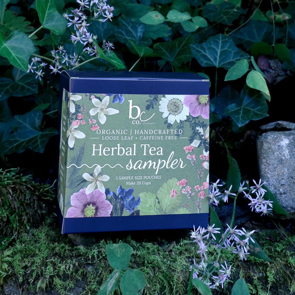 an herbal tea sampler box with a green botanical label sitting on a mossy rock with vibrant greenery in the background