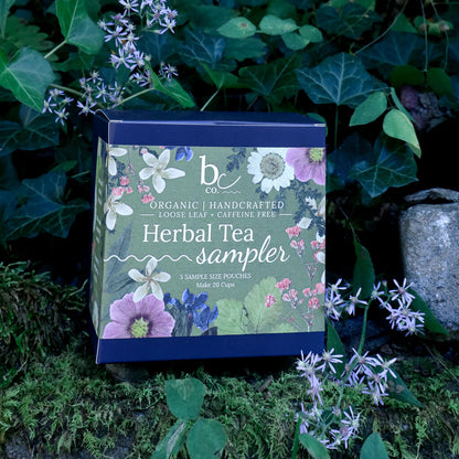 an herbal tea sampler box with a green botanical label sitting on a mossy rock with vibrant greenery in the background