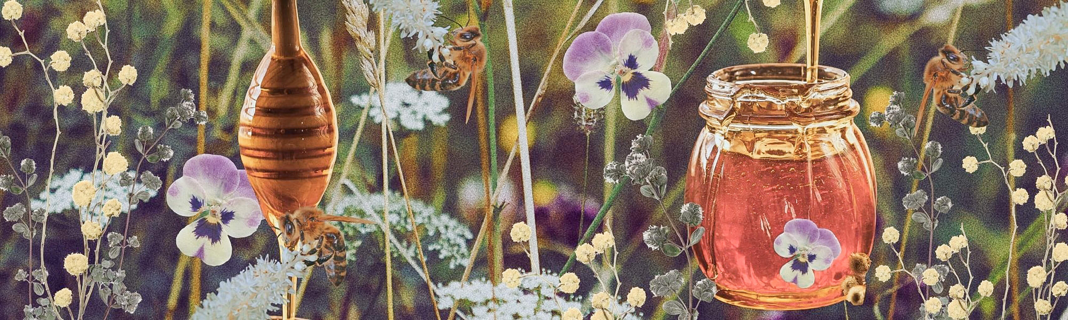 Jar of honey against a wildflower background with pressed flowers and a bee in the foreground