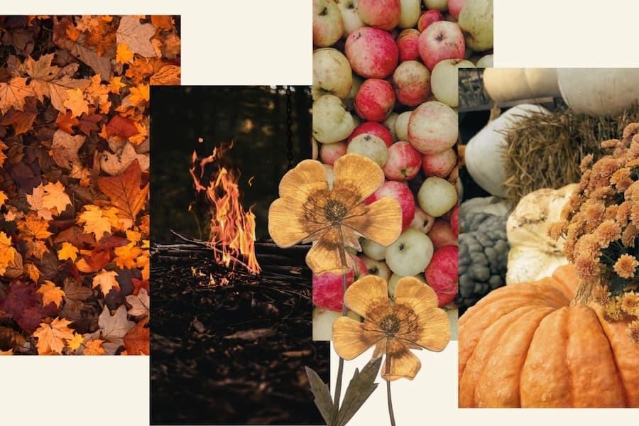 A collage of autumn-themed photographic panels, including orange and yellow leaves, red and white apples, a small fire, yellow flowers, pumpkins, and gourds, arranged on a light beige background.