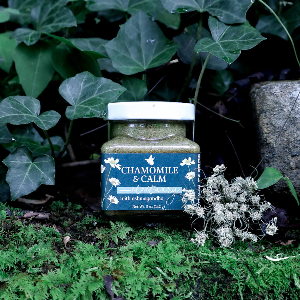 jar of Chamomile & Calm Herbal Honey Electuary with ashwagandha sitting on a mossy rock with greenery in the background