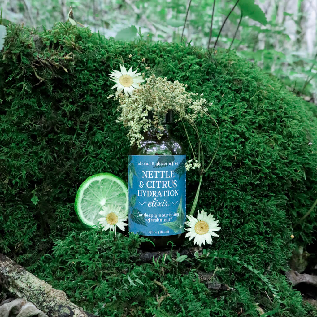 Nettle & Citrus Hydration Elixir bottle with flowers and a lime on a mossy background